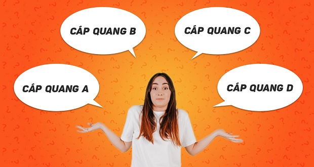 Nên Lắp Đặt Mạng Cáp Quang Nào Giữa Quá Nhiều Sự Lựa Chọn?